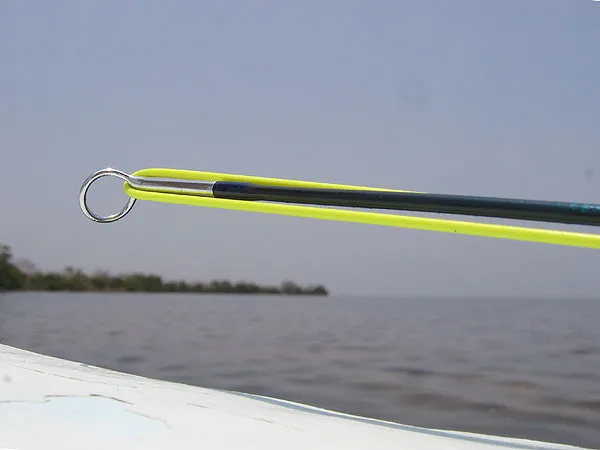 Detail - A top eye on the backdrop of the mangrove.