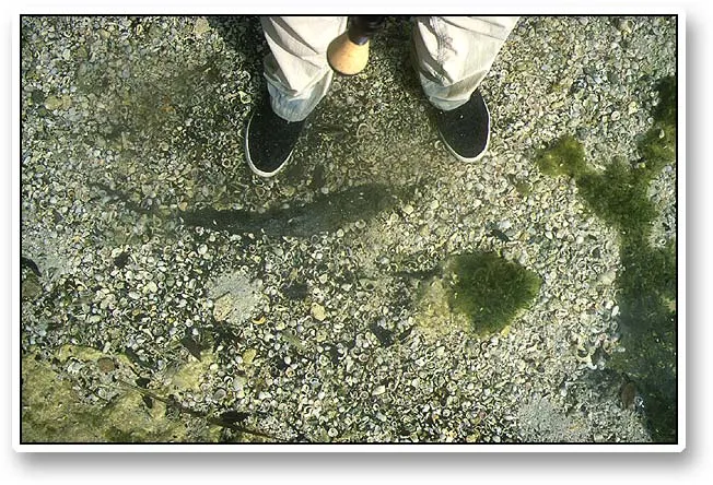 My feet in the warm water - As I enter the water I am again surprised how extremely hot it is. Not only body temperature but probably well beyond. The feeling is quite different, not least because I am wearing shoes, socks and long legged trousers. Strange but actually very comfortable.
