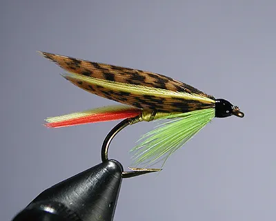 Fergusun - A nice combination of colors in this fly. If tied using the traditional mottled turkey in the wing, use goose shoulder instead of goose quill for the yellow stripe, as it will marry easier.
