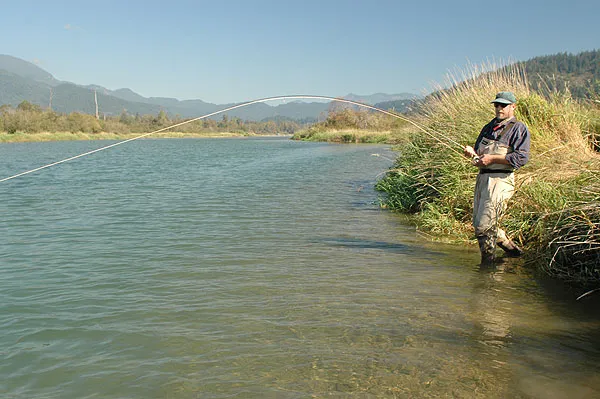 Coho! - Ole into a good coho on the Harrison.