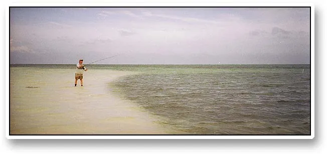 Casting for barracuda - Martin casting from the shallows over a deeper part in pursuit of barracuda. These fearfully fast predators will appear from nowhere and tear a fly up like nothing else.