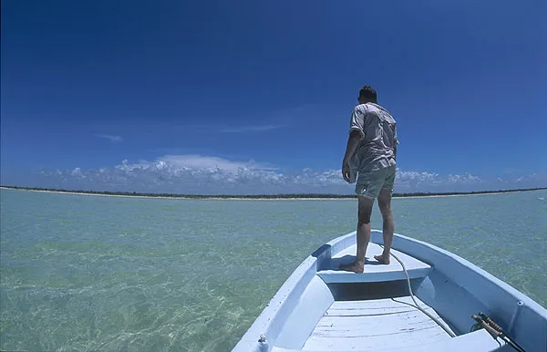 On the lookout - We didn't fish these sandy beaches, but the animal life was impressing: ladyfish, mullets, stingrays, barracudas, anchovies and much, much more.