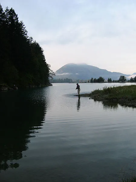 Looking for milling fish - By searching the quiet back waters you might run into some milling coho, which just circle slowly and wait for darkness or the water to rise before they move on.