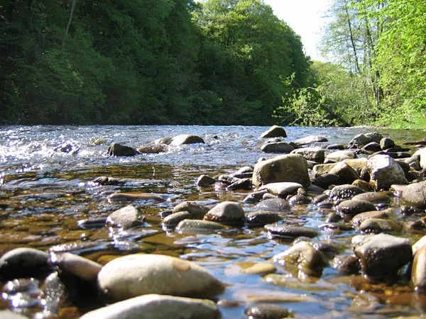 The Usk - We should have fished it this day. Had I taken this picture the next day, I would have drowned, so much had the river gone up due to rain.