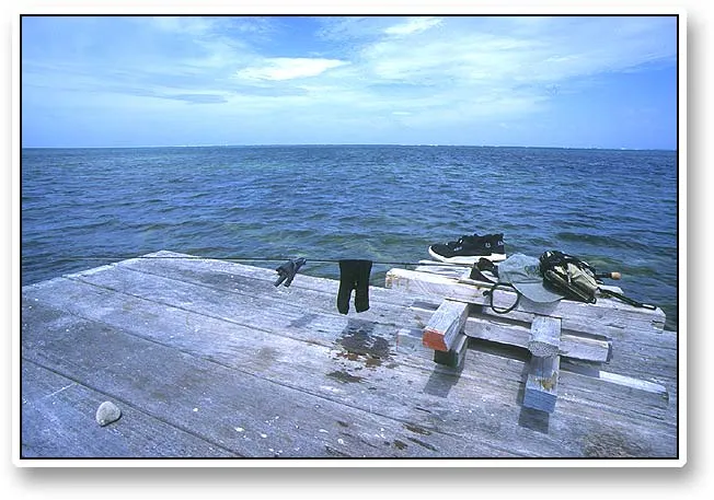Gear - For wading you will need the following: a 7-8 wt. 9' rod with a floater and a long leader, very small and light flies, sunglasses, a stripping glove, flats boots or old sneakers and socks.