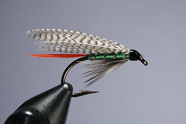 Grizzly King - The wing on this fly is just a bit too long. The fly is commonly tied as a trout bucktail using gray squirrel tail for the wing, and is also used as a salmon fly tied on an upwing iron.