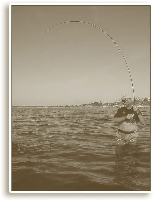 Bend that rod! - Henning caught this days' only "real" sea trout - a beauty of about 2.5 kilos or 5 lbs.
