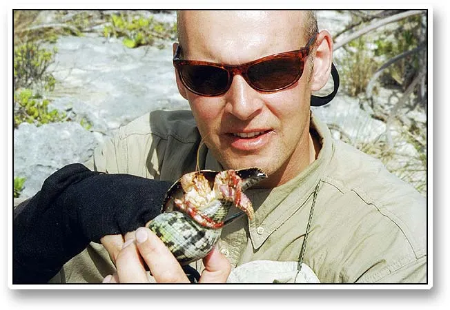 Hermit crab - Joachim showing a large hermit crab that has occupied the shell from a large shell.
