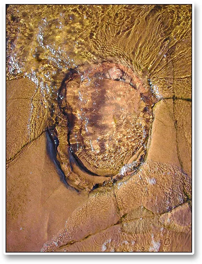 A hole - The soft sand stone will form the most amazing shapes under the influence of the water like this fantastic hole the size of a football swept in the clear, Baltic water with every wave.