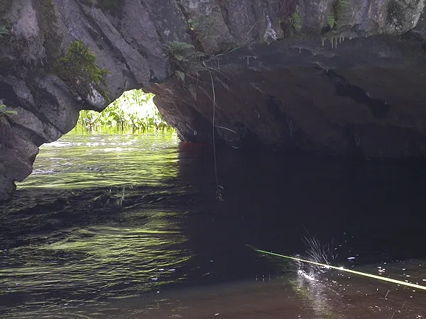 A pike attacks - the popper under the bridge