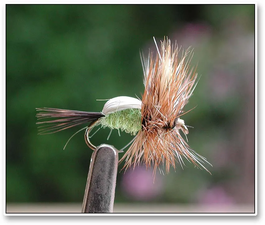 Humpy - Fly tied by Jay Lee. Nikon 995, very close up