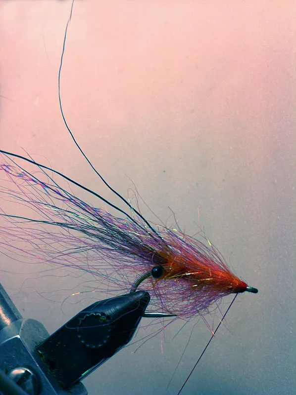 Step 10: done - Tie off the fly, cut the thread and varnish the tie off point. Stroke the dubbing towards the fly\'s rear to give it the proper shape