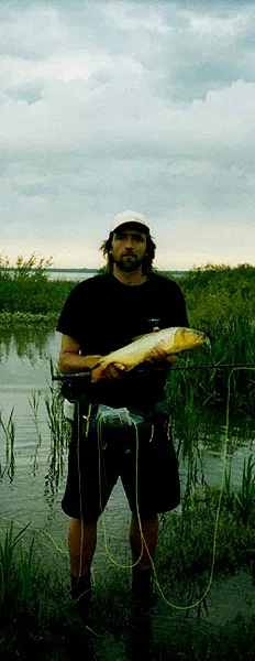 Dorado - Dorado in Gualeguaychu (Entre Rios, Argentina)