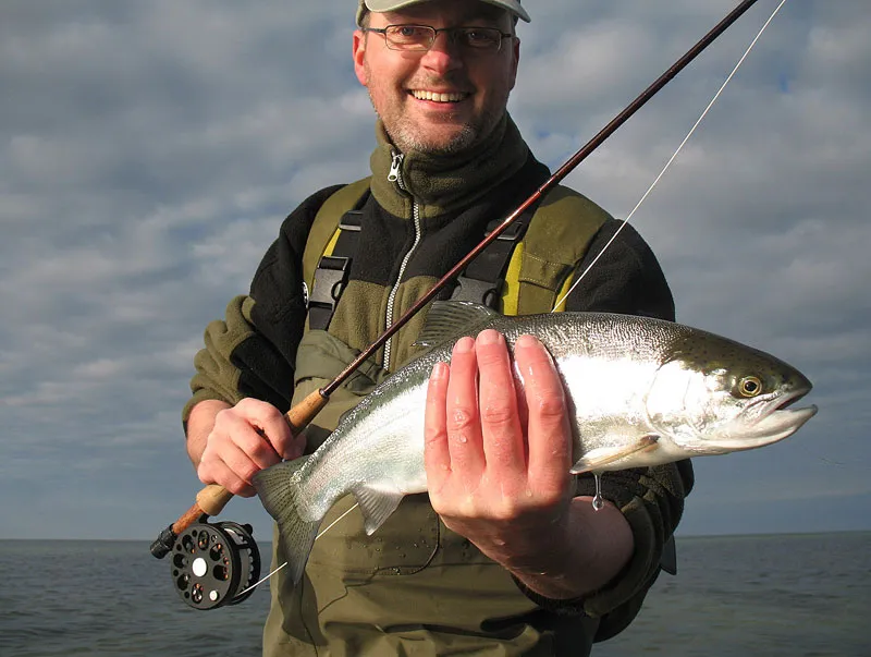 First spring day - A beautiful sea run rainbow (steelhead)