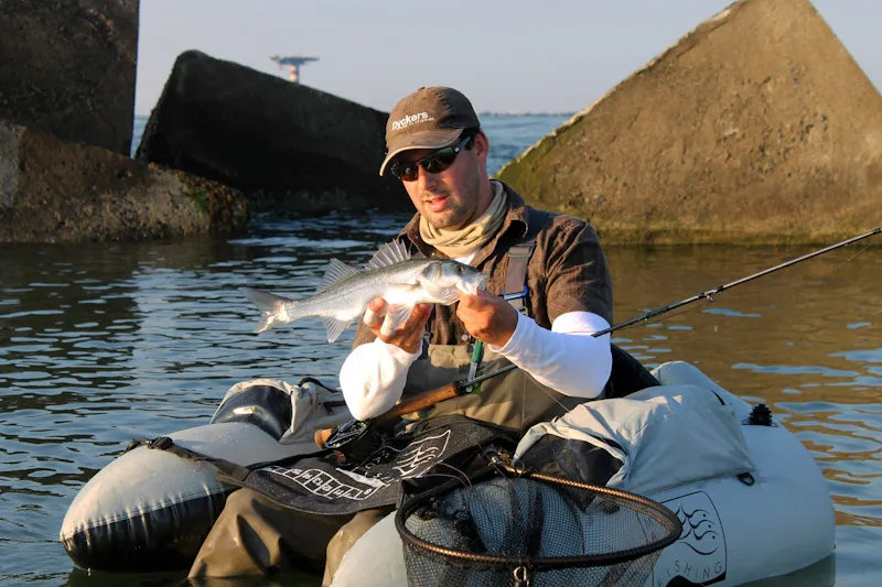 In the blocks - Picked from between the blocks this bass took a clouser fly