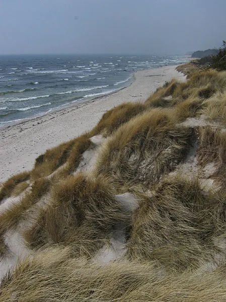 Windy - The south beach of Bornholm close to our house. The wind was almost onshore