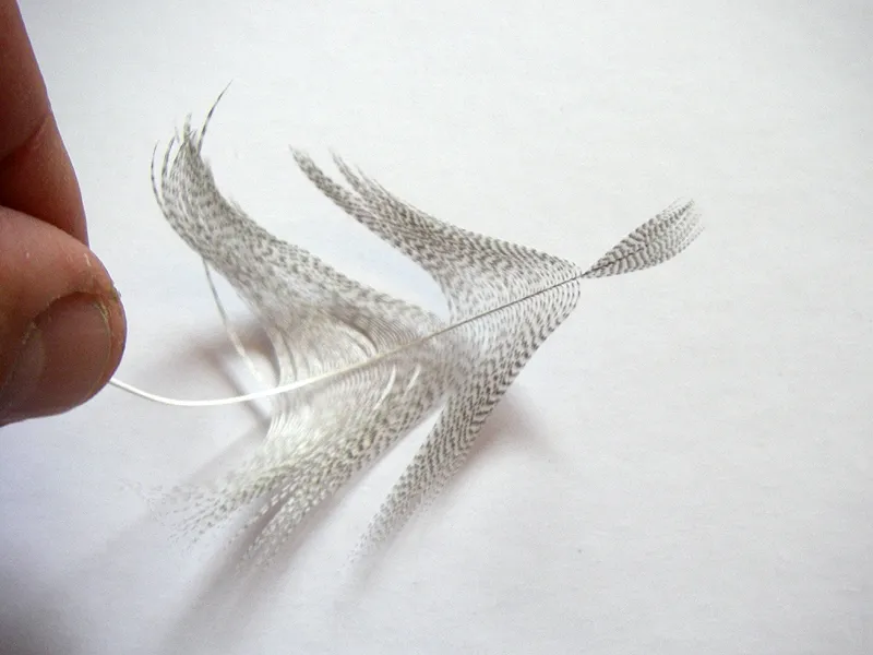 Step 2- prepare the feather - Stroke back the fibers to give a tip to tie in by