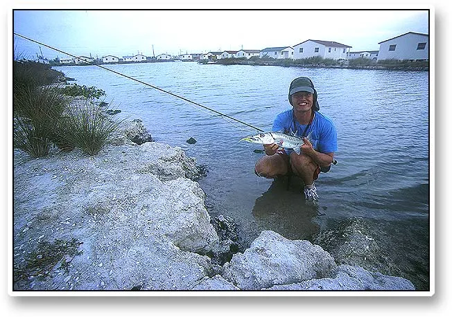 Jan's 'cuda, the pride - The barracuda sure was nice but not nearly as large as they become. Notice the fly, a typical barracuda fly: large and green. Fast retrieve and a strike is highly probable.