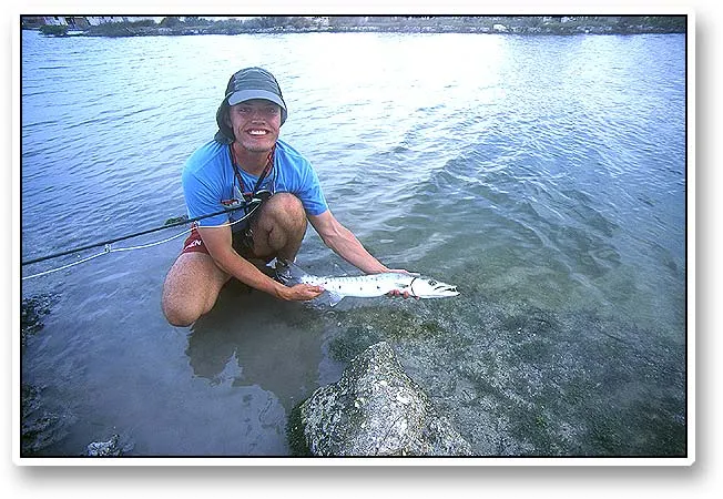 Jan's 'cuda, the release - Barracuda is edible, but we release almost every fish we caught. This one goes back into the channels where it will continue to endanger the lifes of all small, dumb fish.