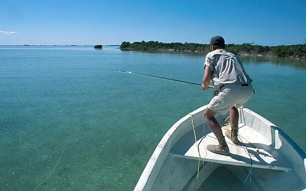 Alert - From the boat you can see fish further away and in deeper water.