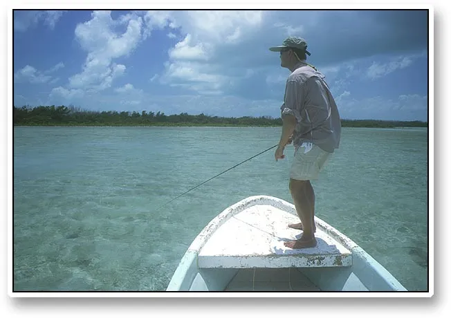 Kim on the flat - Kim Rasmussen stripping for bonefish in a typical shallow, Belizian mud flat.