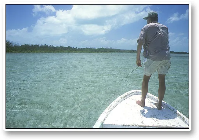 Don't spook'em - You have to be precise and alert to get a bonefish. The Belizian fish were both spooky and selective.