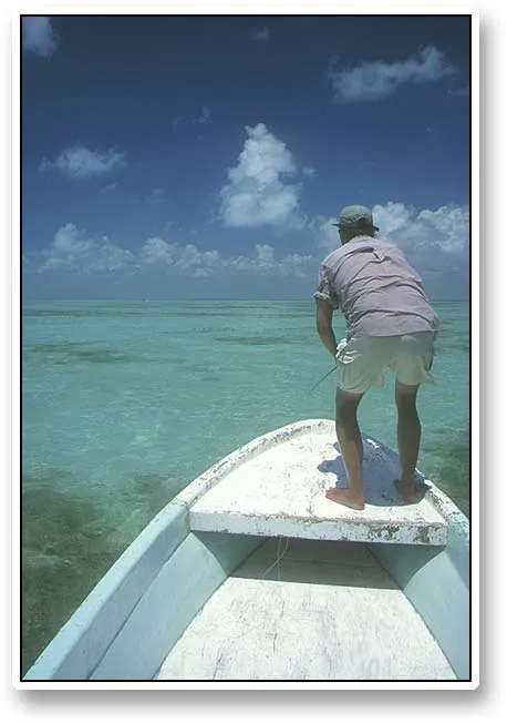 Tarpon! - Kim Rasmussen extremely concentrated, stripping a fly in front of a school of tarpon. The fish are actually visible in the water in front of him behind the first central green patch.