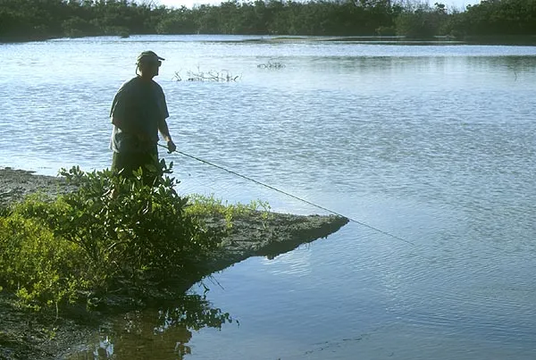 Off beat - Bonefish will not only be found over light coral sand, but also venture into muddy lagoons and water, which at first might seem less attractive, but sometimes can hold a lot of fish.