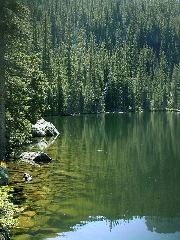 Is this beautiful? - Is this beautiful or is this beautiful? Add a greenback cutthroat cruising by every second minute and you have the ingredients for a perfect day in the mountains.
