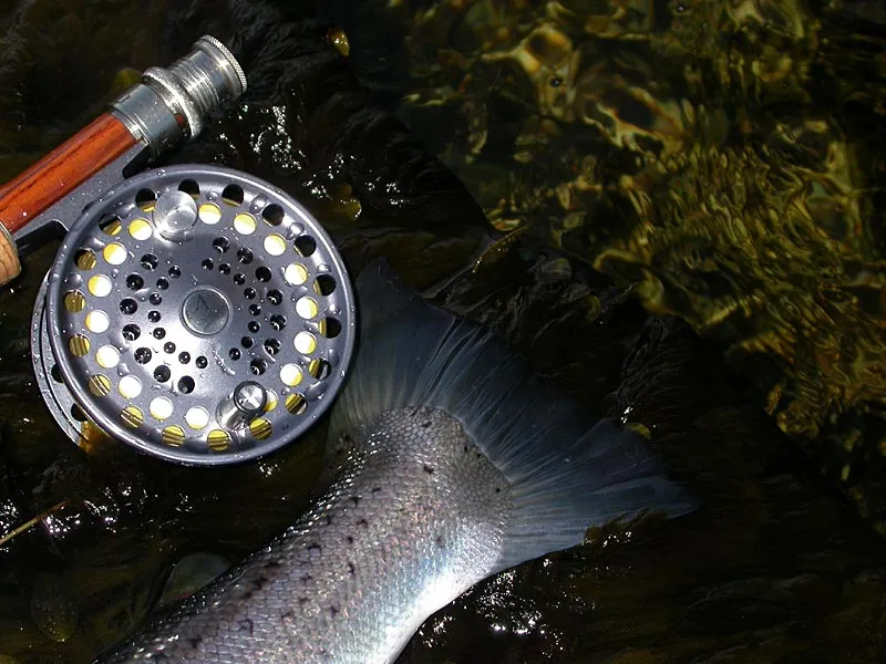 Inexpensive, but nice - I bought a Lamson Velocity a few years back. A nice reel but unfortunately the reel stuck at one point, and has never come loose again