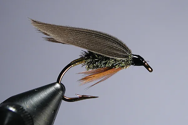 Leadwing Coachman - Another well known classic fly. The Leadwing Coachman is often used during Isonychia Season, since the nymphs of those mayflies are known to migrate to shore so they can emerge on streamside rocks.