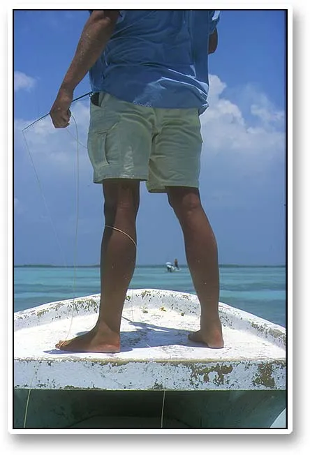 Standing - As a tarpon fisher you learn to stand steadily on a rolling boat. This position is kept for hours, and you grow to appreciate the effort of the guide, who stands longer and steadier than any of the fishers on board.