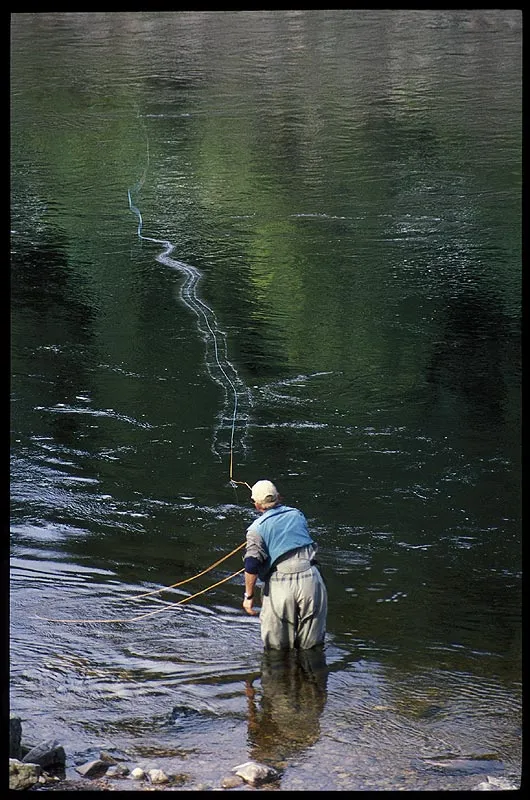 Line on the water - This fisher was not a particularly good caster, but the angle was perfect, and the line did straighten in some of his casts.