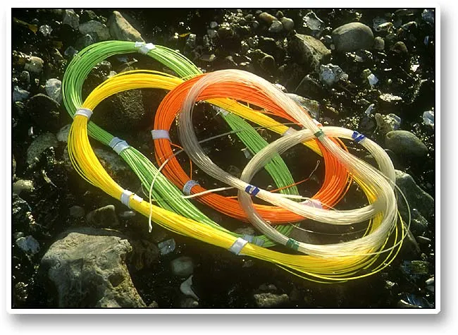Fly line selection -
