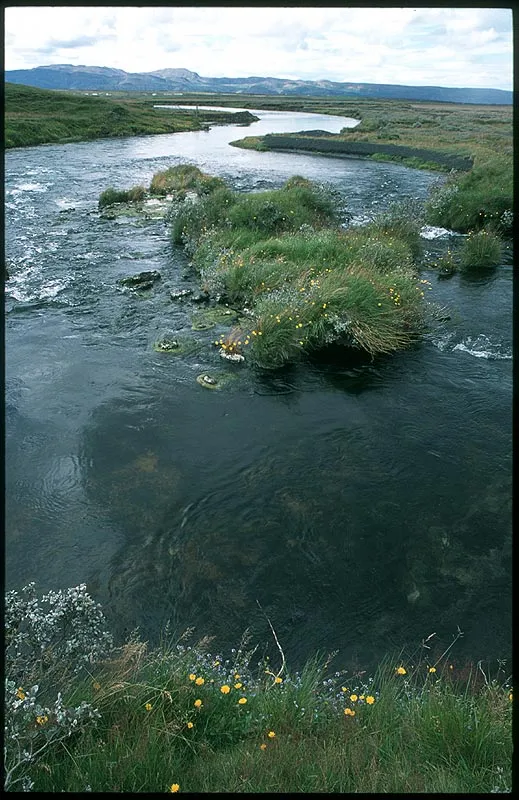 Litlaá rapid - Above were the small fish, below were the larger ones. We enjoyed both the fishing and the sight of this small Litlaá fall.