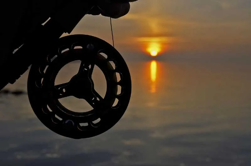 A true classic - Most people who are just the least bit into reels will immediately recognize this profile: Loop! The Loop Traditional was in no way traditional when it appeared.