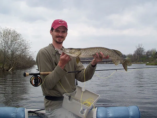 Author and pike - The author - Mark Dysinger - with a pike, which readily take flies like the Prince of Pike or the Poxy Bunny.