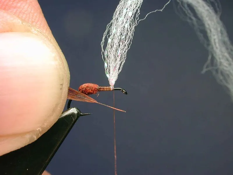 5 - prepare for hackle - Stop the waist about 2 mm shy of the hook eye, make a couple of wraps in front of the post to stand it up. Select a saddle hackle and strip off some of the barbs. The length of the stripped quill should equal the distance from the hook eye to the post, plus the height of the head, plus the height of the parachute.