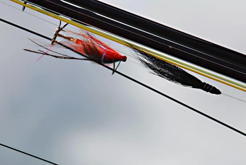 Soft and colorful or stiff and black - Tube flies are the flies chosen by most salmon anglers on Iceland.