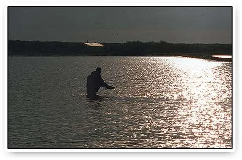 Evening fishing - Catching and releasing a fish in the sunset over Lake Oostvoorne