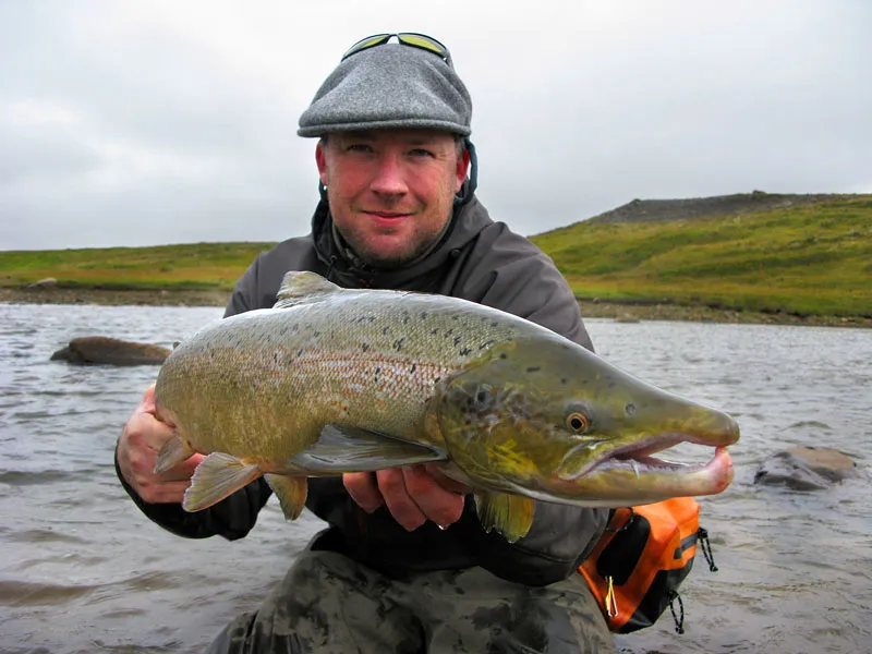 The author - With a colored male Icelandic salmon