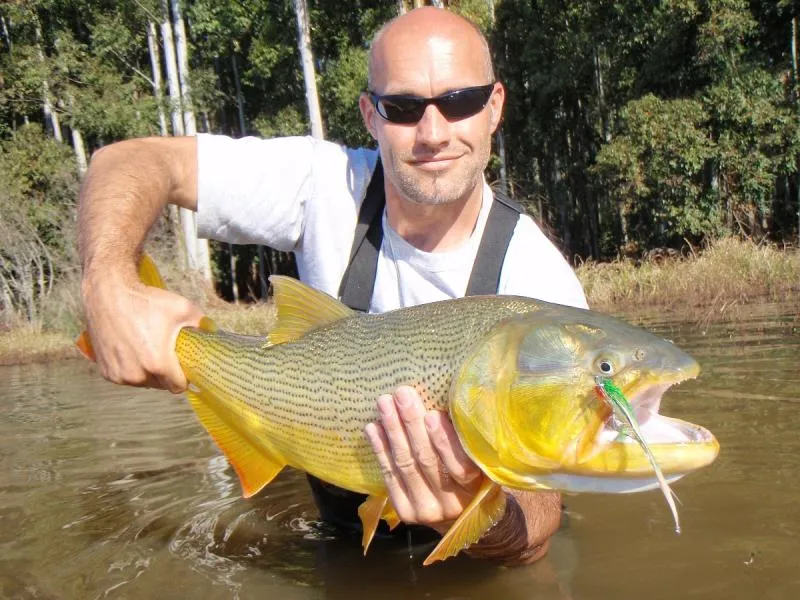 Safely landed - In spite of only using a 5 kilo (10 lbs) tippet
