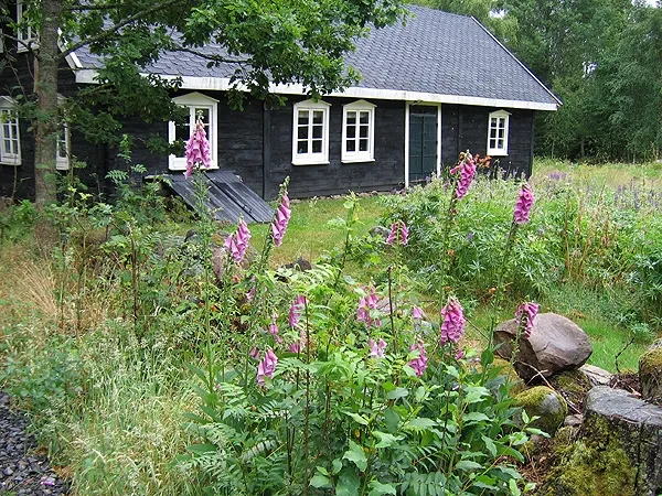 The summer cabin -