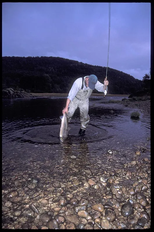 Ole landing - Ole landing a nice 7 kilos (14 lbs.) male salmon