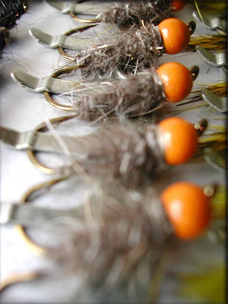 Row of Oranges -