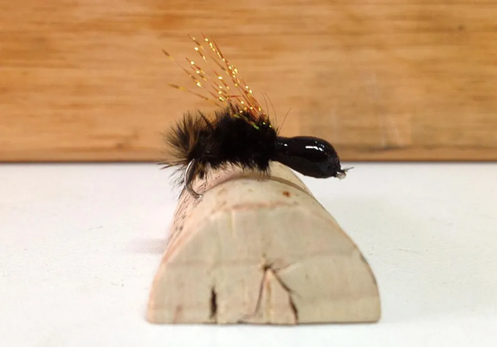 The Cute Blackie - The Brazilian Neguinha Fulô fly ready for some action