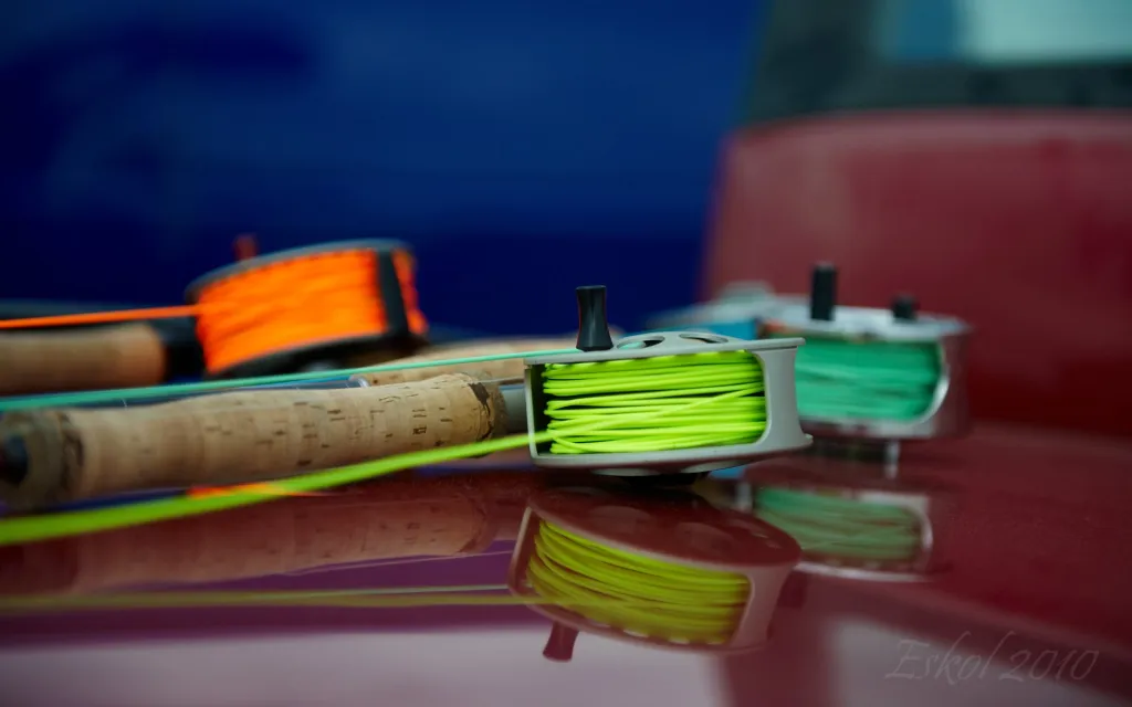 Colorful - Fly lines are often bright colors