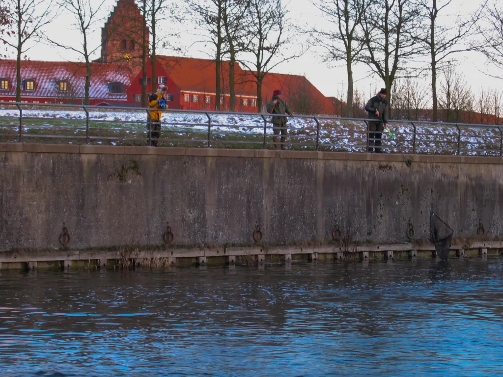 Fishing for whitefish - Suseaa is a popular and productive spot for whitefish, but they are mostly fished in the slow and deep stretches like here from a high wall close to Naestved