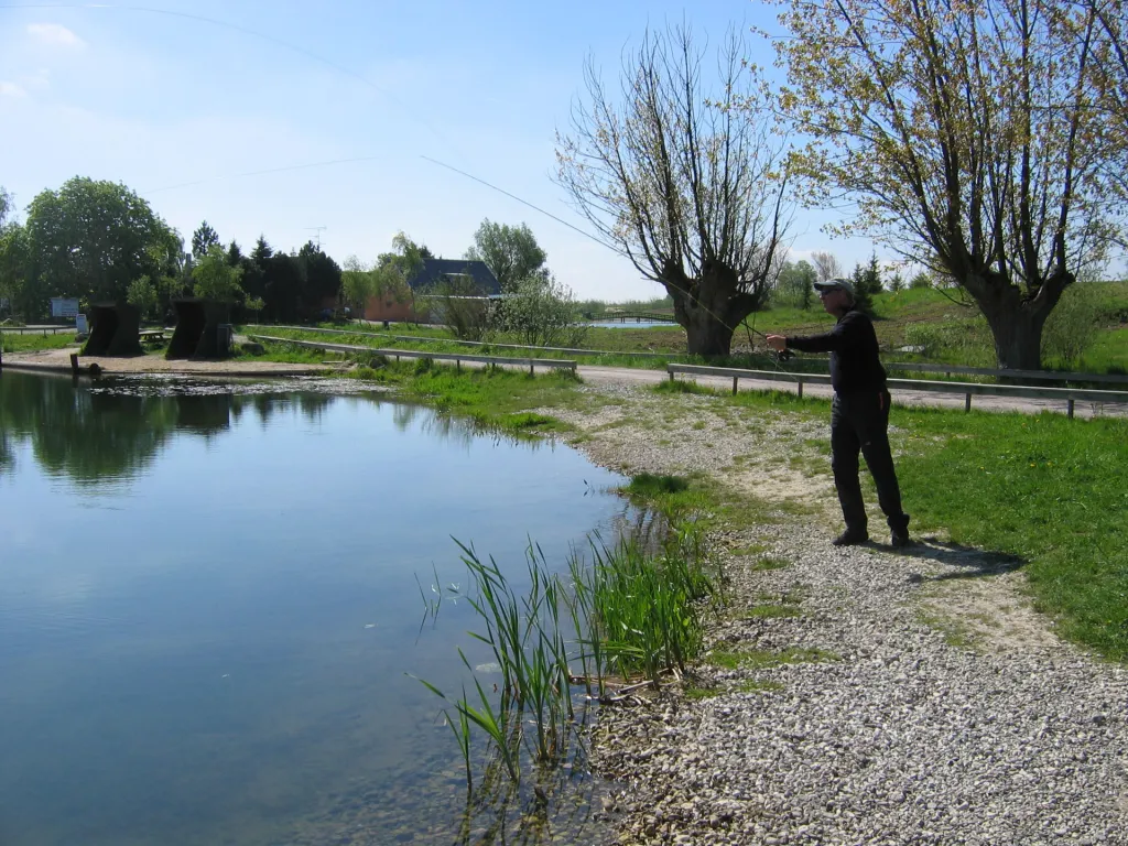 Fly fishing a stocked lake - This is Orsted Orredvand. Not the most beautiful place and certainly not the most beautiful fish, but it can offer some paid fishing in a tight spot
