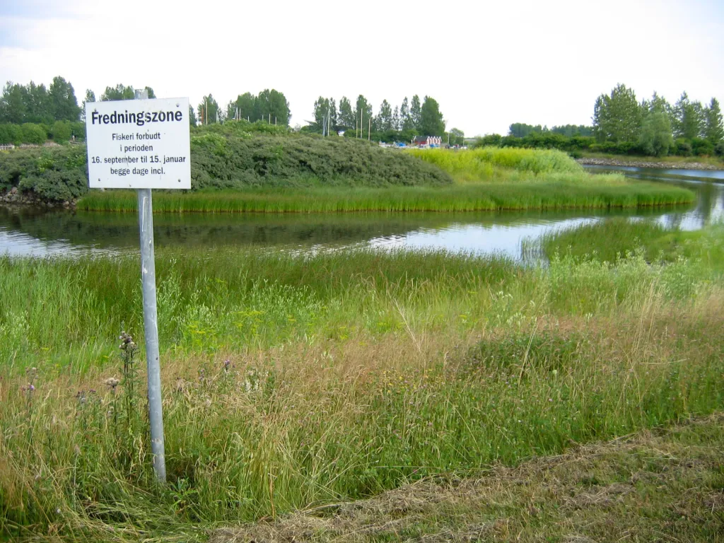 Portected area - Most signs are in Danish only. This one at Ishoj says that some parts are protected in the winter during the spawning season for sea trout
